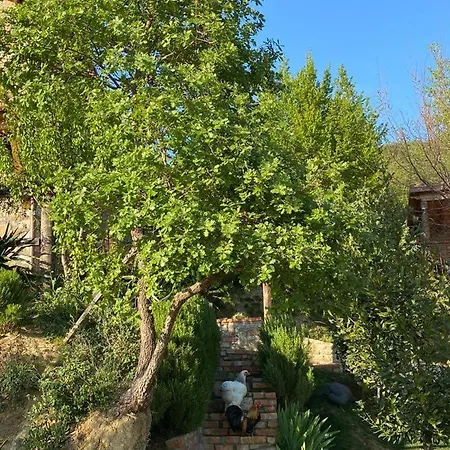 Bujtina Salko Βίλα Mucaj