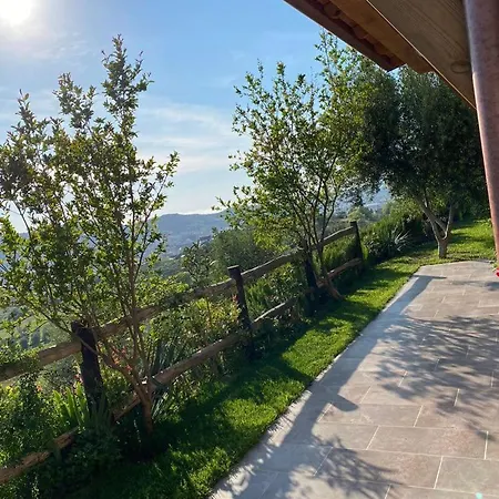 فيلة Bujtina Salko *