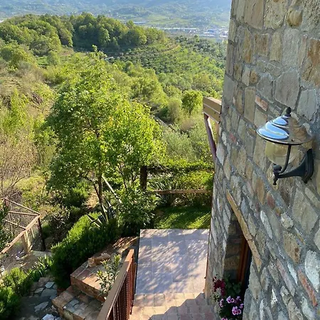 فيلة Bujtina Salko *