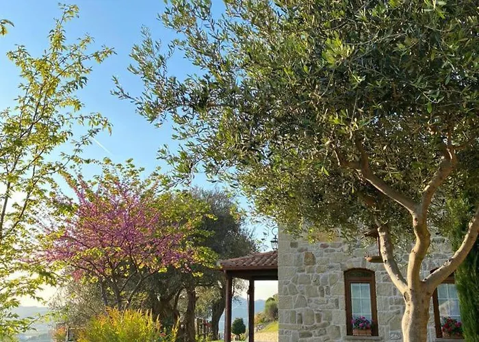 Bujtina Salko Villa *