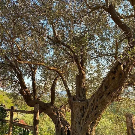 Villa Bujtina Salko Mucaj