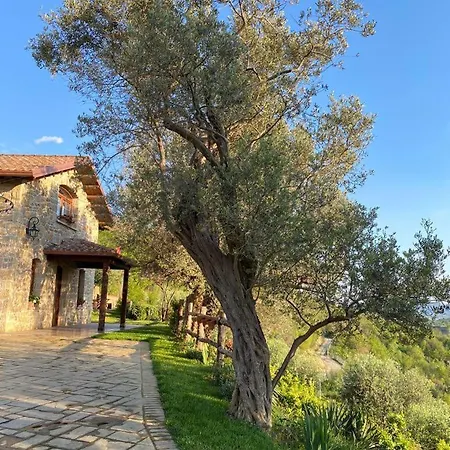 Villa Bujtina Salko