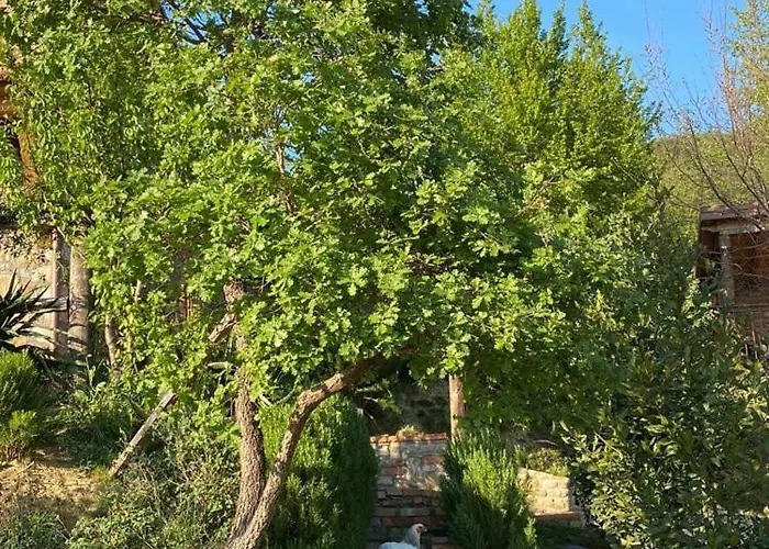 Bujtina Salko Villa Mucaj
