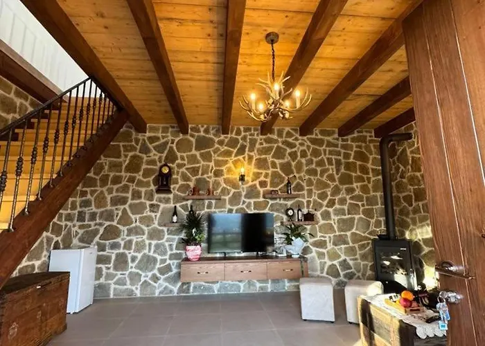 Bujtina Salko Villa